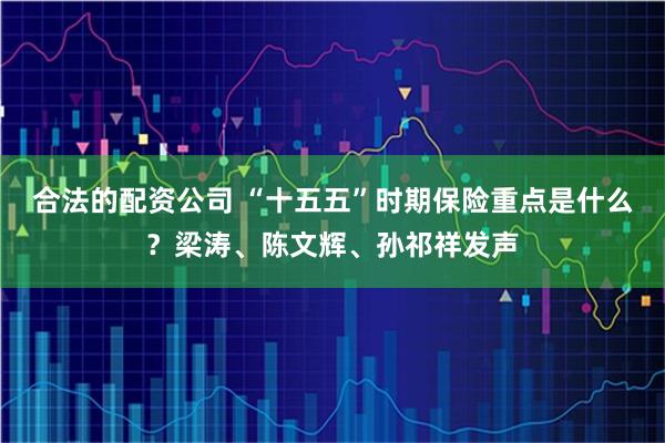 合法的配资公司 “十五五”时期保险重点是什么？梁涛、陈文辉、孙祁祥发声